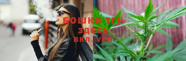 метадон Инта