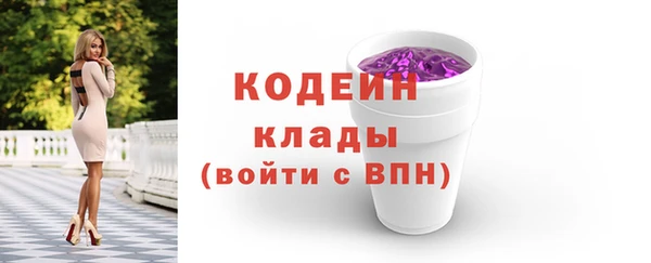 мяу мяу мука Иннополис