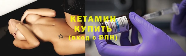 мяу мяу мука Иннополис