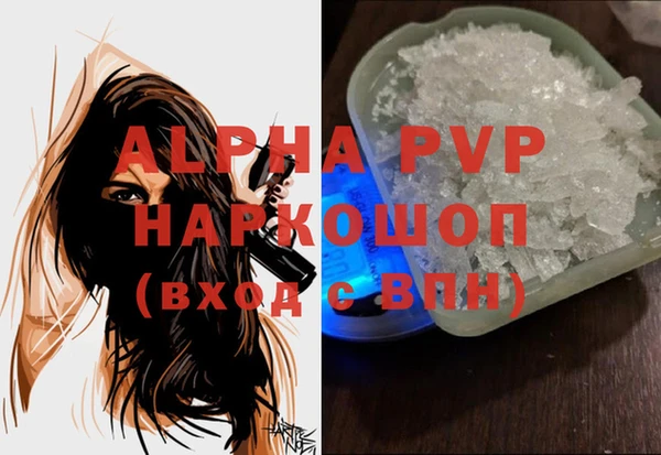 мяу мяу мука Иннополис
