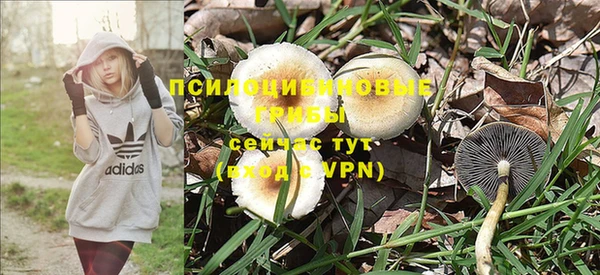мяу мяу мука Иннополис