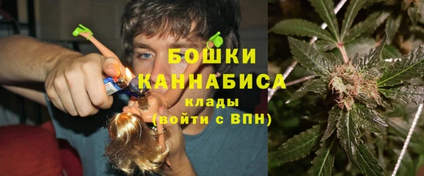 метадон Инта